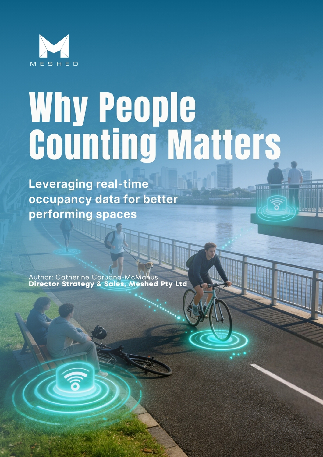 White paper sample, Page 1, Cover.