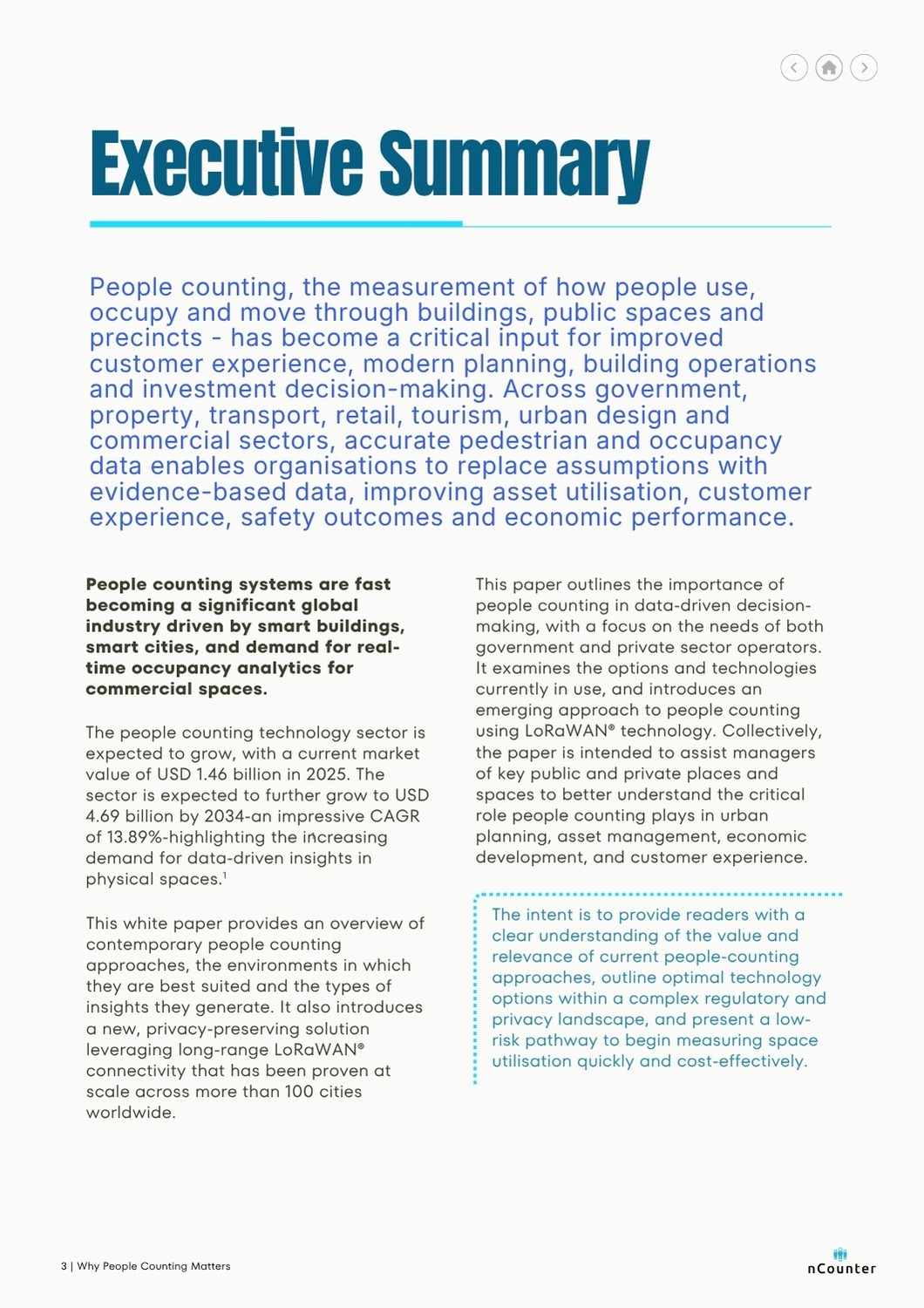 White paper sample, Page 3, Executive summary and market sizing.