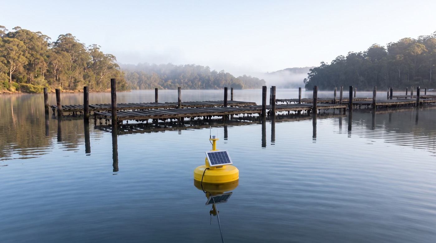 A small solar-powered water-quality monitoring buoy floating on a calm New South Wales estuary near timber oyster-lease racks