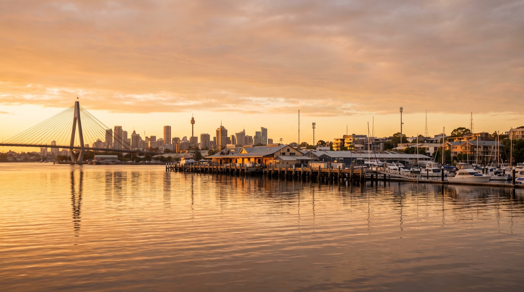Blackwattle Bay and the Sydney Fish Market precinct at golden hour