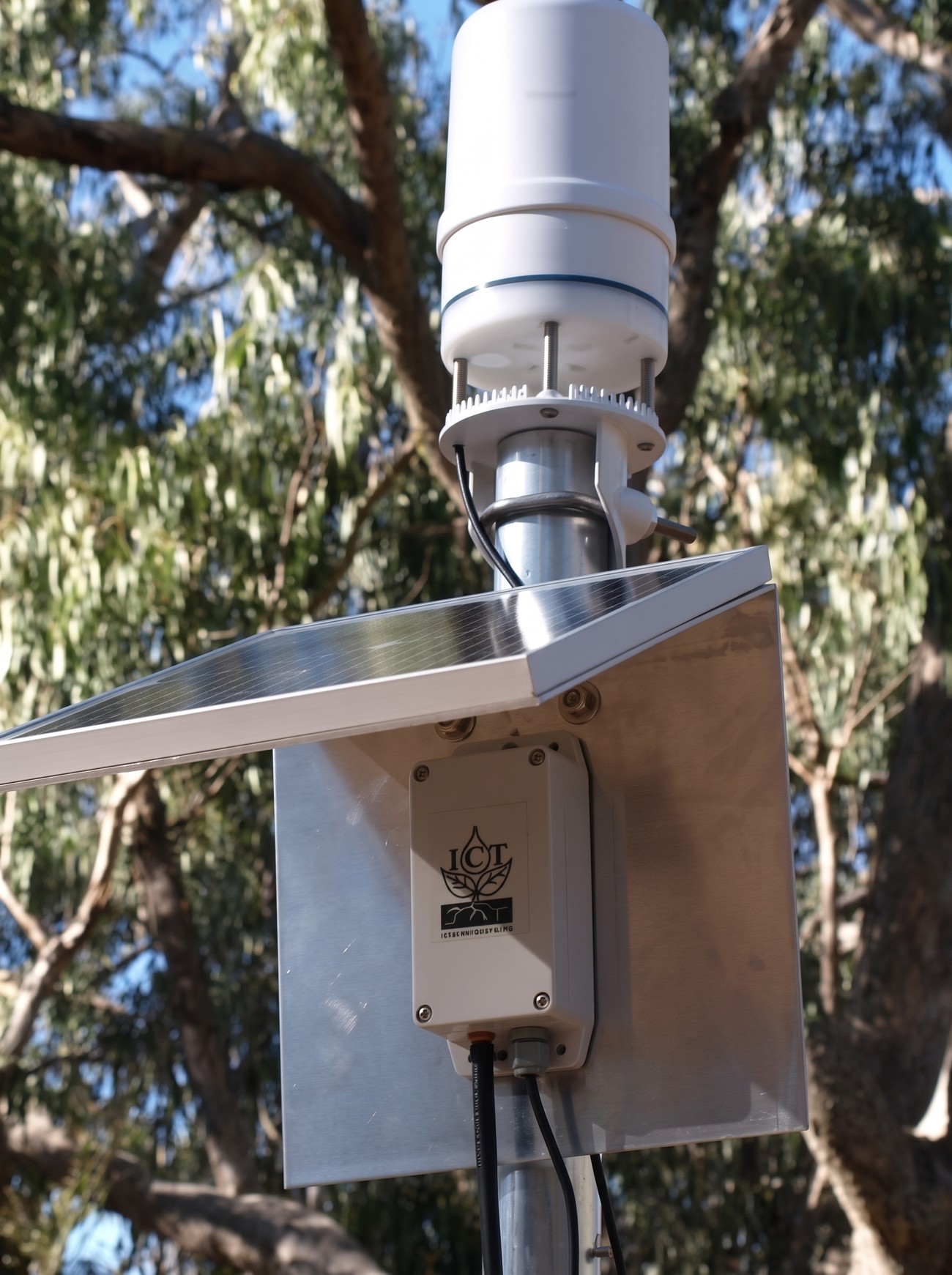 A weatherproof sensor enclosure with antenna and solar panel mounted on a pole among eucalypt trees at a remote site