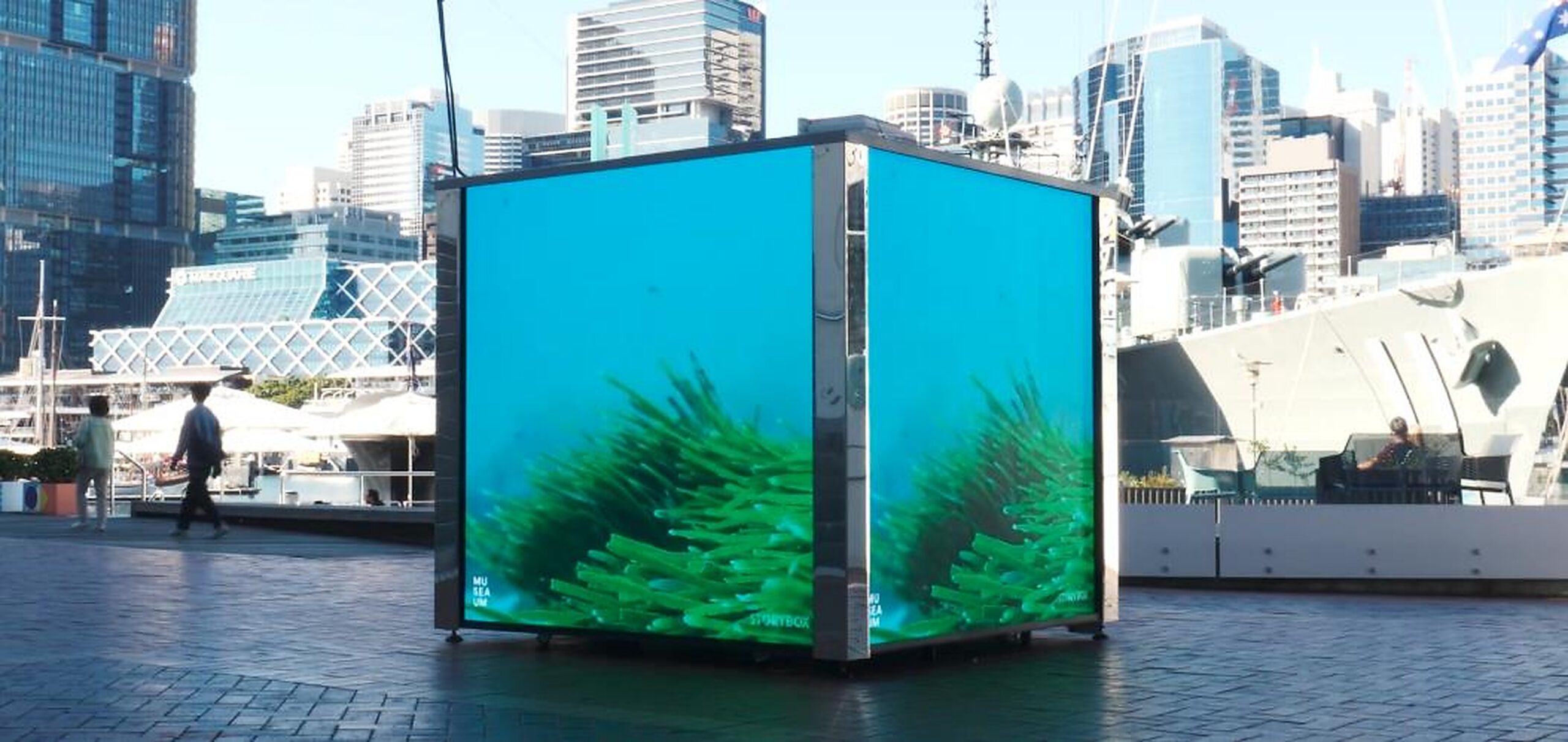 The STORYBOX cube installation on the Darling Harbour promenade, its LED faces showing underwater kelp imagery, with the Museum's historic naval vessel and the Sydney skyline behind it